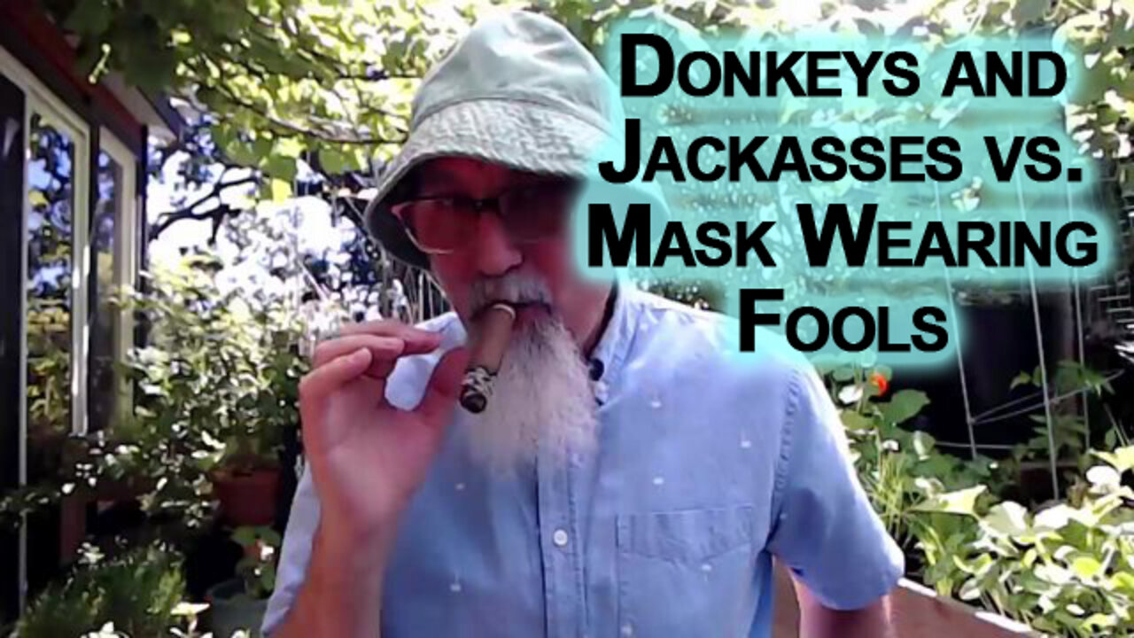 Donkeys and Jackasses vs. Mask Wearing Fools [ASMR]