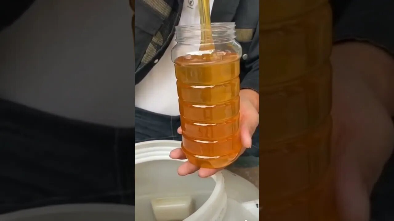 Pouring Honey / experiment subscription