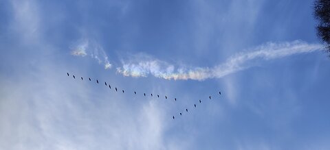 10.4, 20.4.2024: Sun halo, weird clouds, white trail.. i see colors.