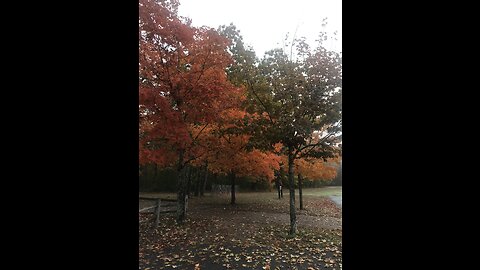 Wet Foggy hike