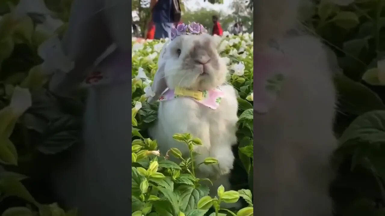 Have a great Easter weekend 🐇 #HappyEaster