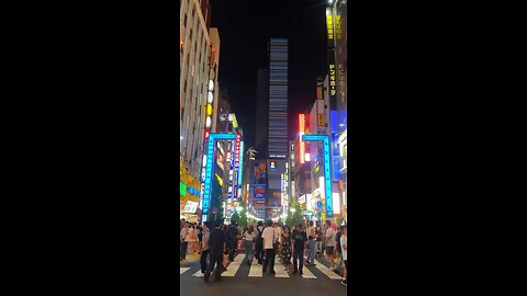 Shinjuku kabuki cho walk