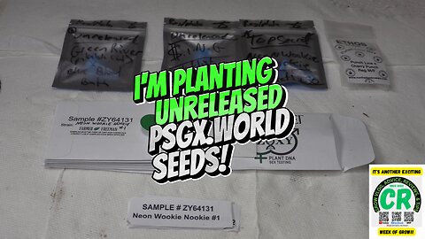 CR's 2024 Fall Grow Unreleased Seeds Germination Update!