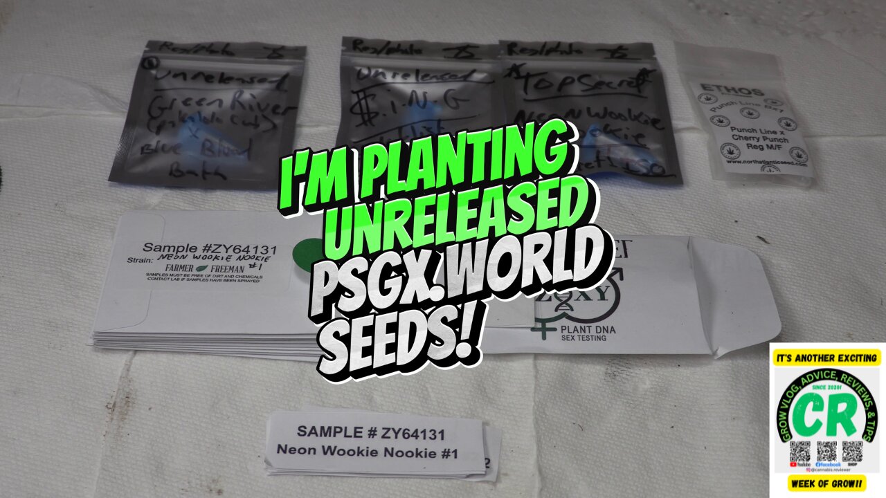 CR's 2024 Fall Grow Unreleased Seeds Germination Update!