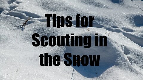 Tips for Scouting in the SNOW!