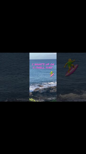 MEET AL B. TROSS - THE ALBATROSS ARE THE BIRDS OF GOOD OMEN. WING SPANS CAN BE UP TO 10 FEET