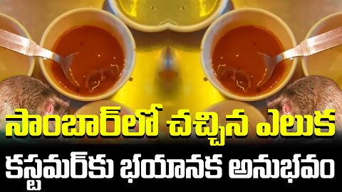 సాంబార్‌లో చచ్చిన ఎలుక.. కస్టమర్‌కు భయానక అనుభవం| #restaurant #rat #ratcurry #customer | FBTV NEWS