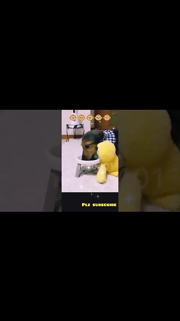 Come ...Lets have a PARTY