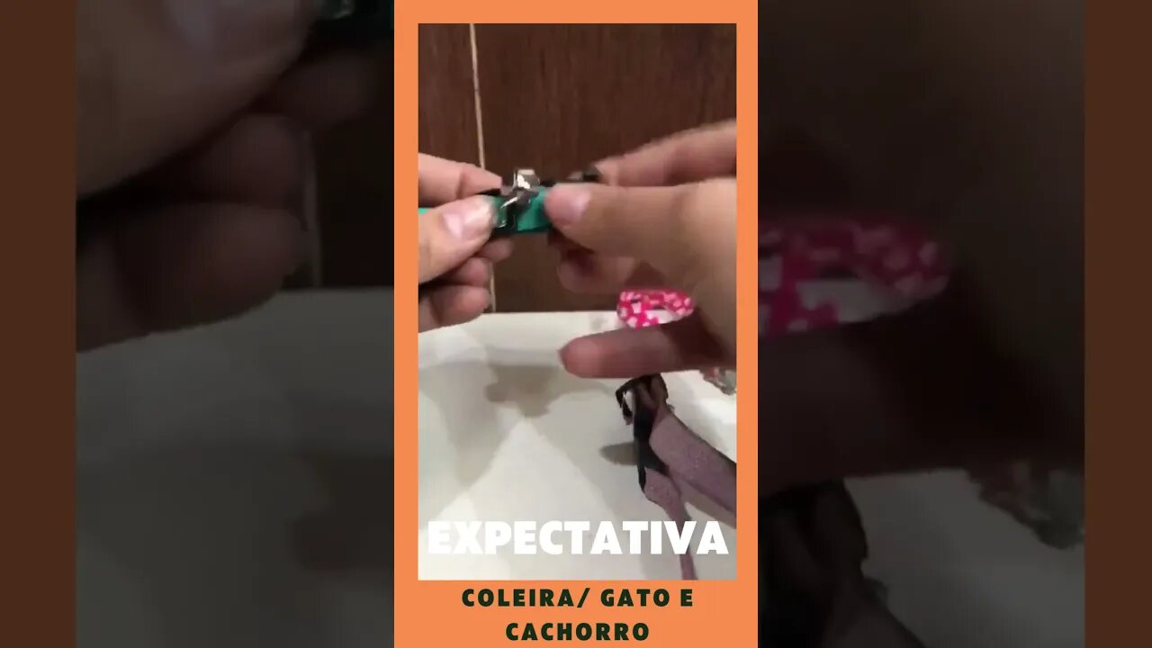 Coleira para gato e cachorro (porte pequeno) com pingente 📦 01/2023⬇️