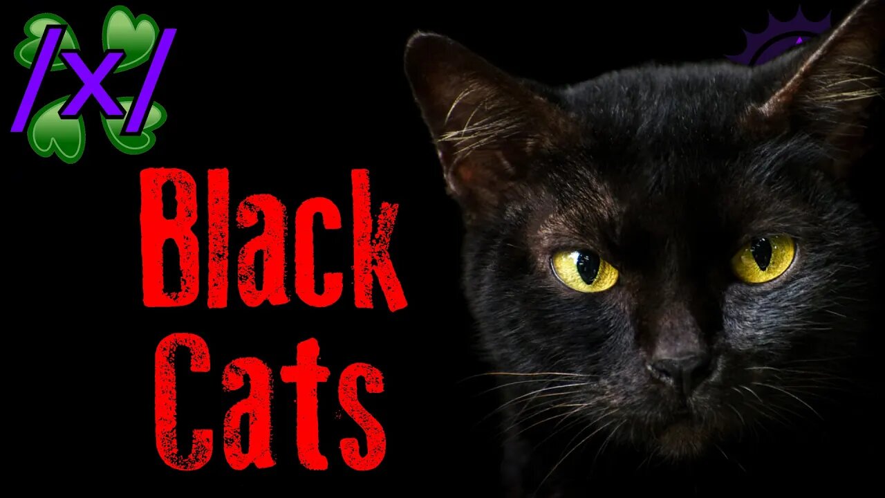 Black Cats | 4chan /x/ Paranormal Greentext Stories Thread