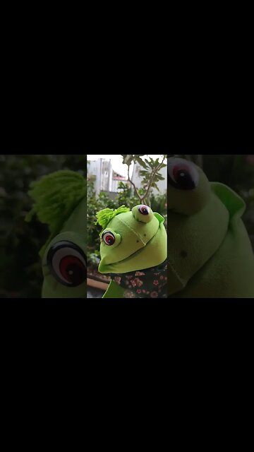 De boa na lagoa | SAPO DO MAU