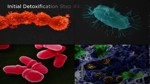 06-01 FIVE STEPS TO DETOX