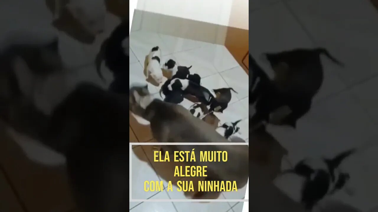 💥 QUE FAMÍLIA FELIZ