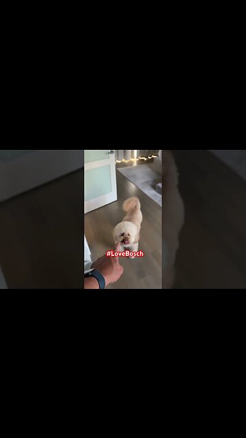 Why Does Pipe Doctor & Mikey Pipes #LoveBosch ? No Humidity Issues! #shorts #hvac #heatpumps