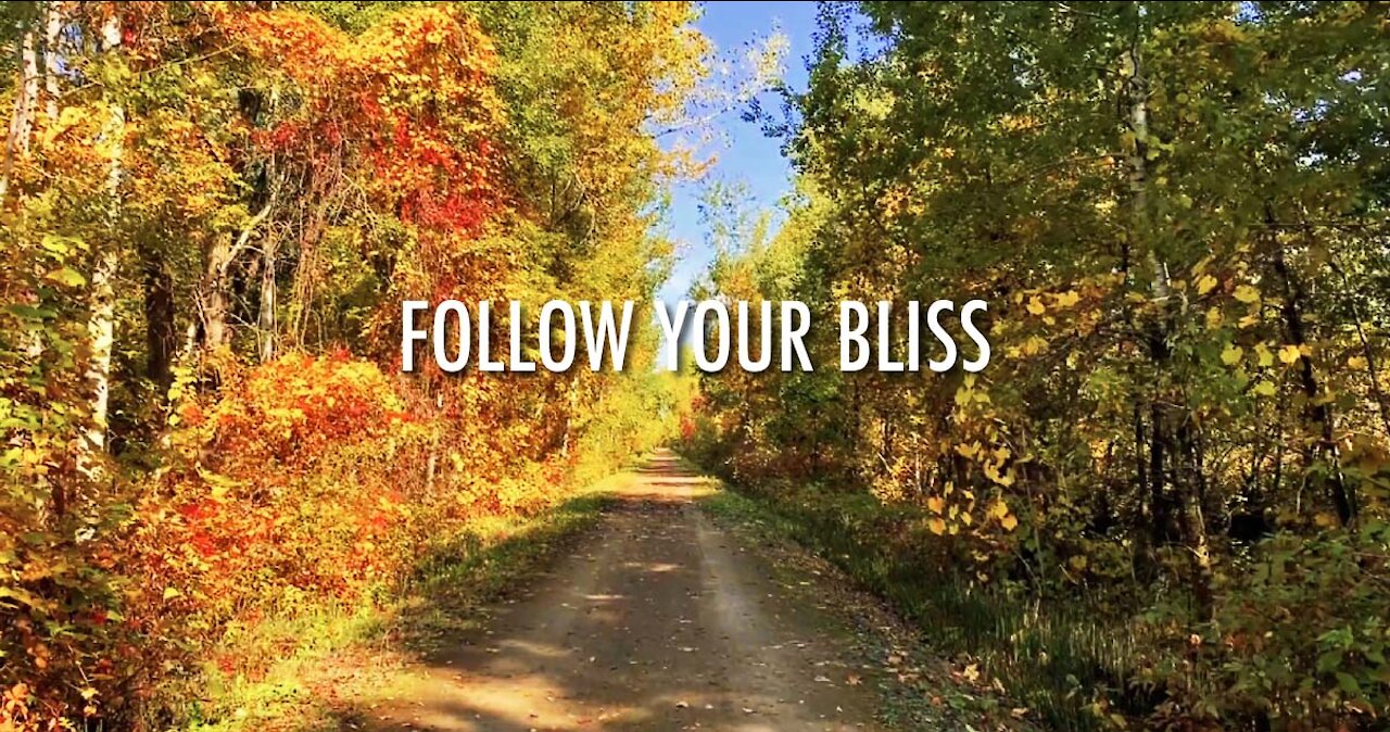 Follow Your Bliss (2020)