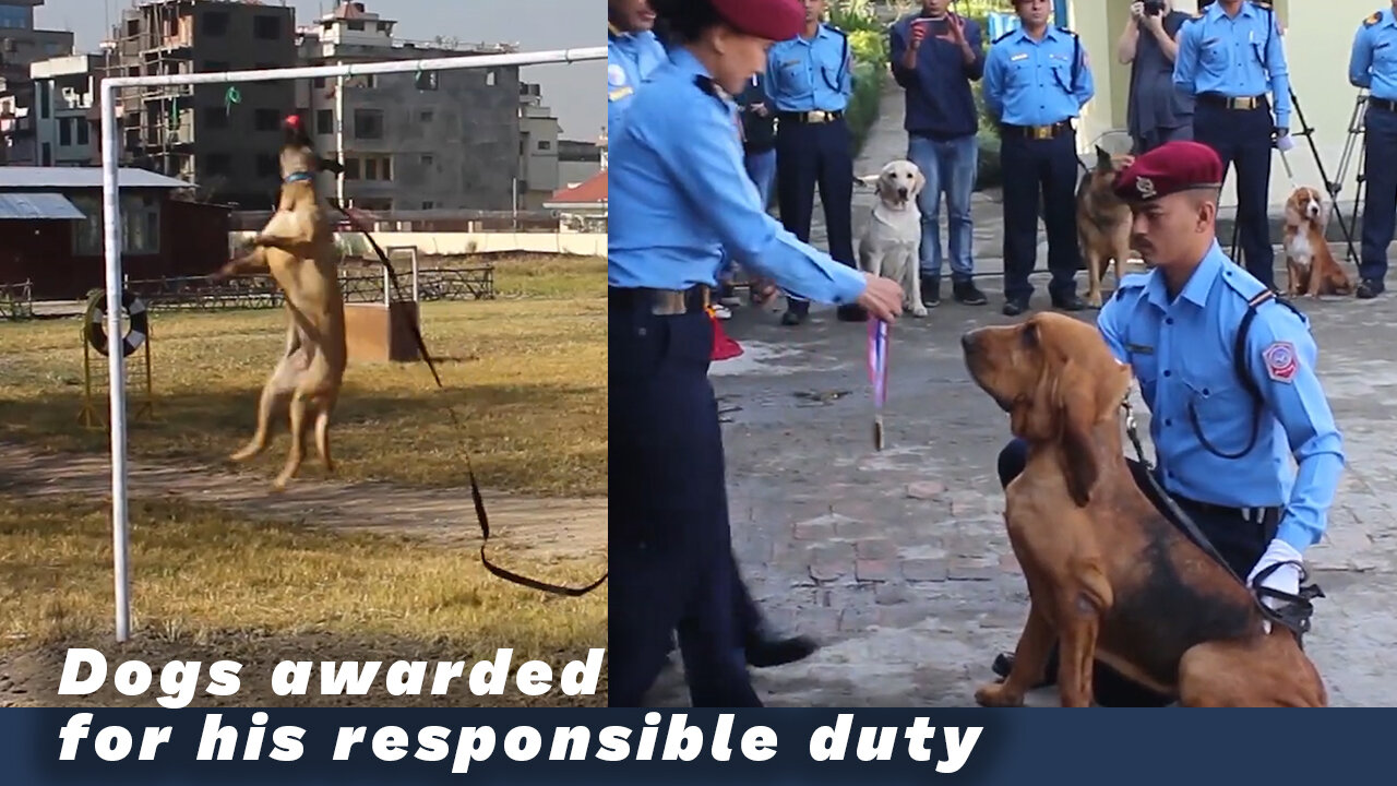 Professional trained dogs in Police Service receive Award for his smart job