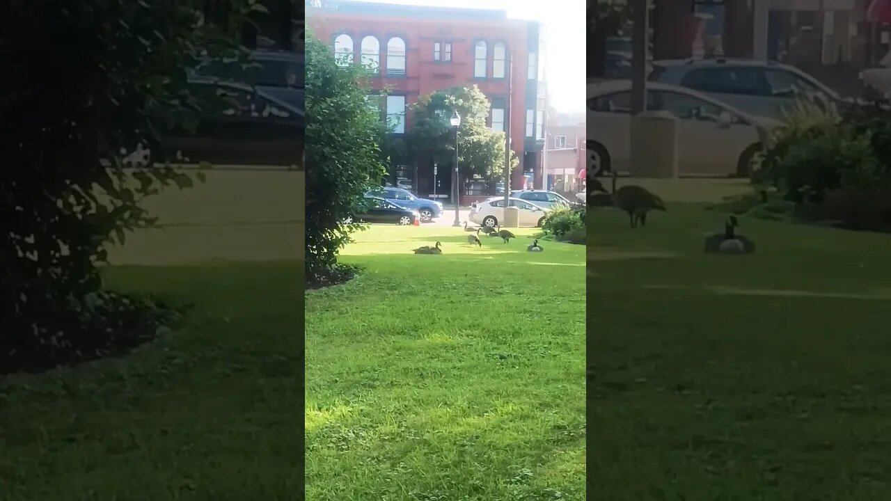 Powerful affirmation