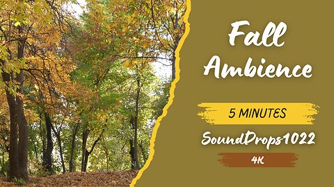 5-Minute Fall Escape: Cozy Autumn Sounds & Sights