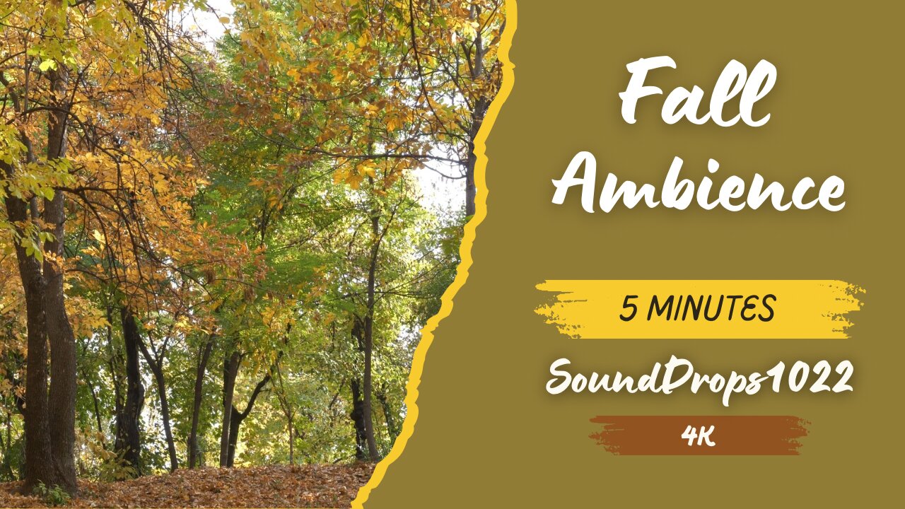 5-Minute Fall Escape: Cozy Autumn Sounds & Sights