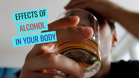 Effects of Alcohol in Your Body