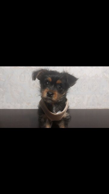 open your face I want to lick))