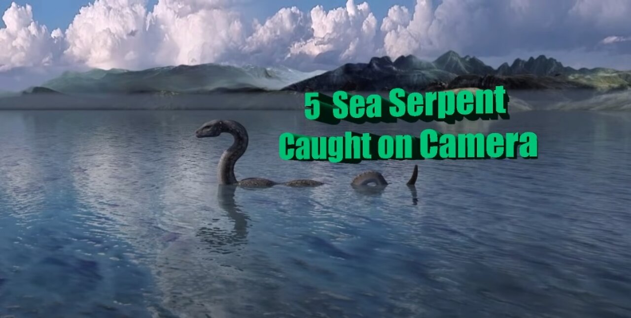 5 SEA SERPENT CAUGHT ON CAMERA