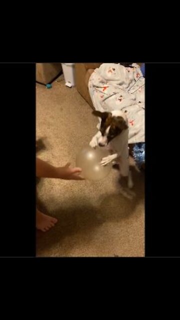 Princess got the ball out