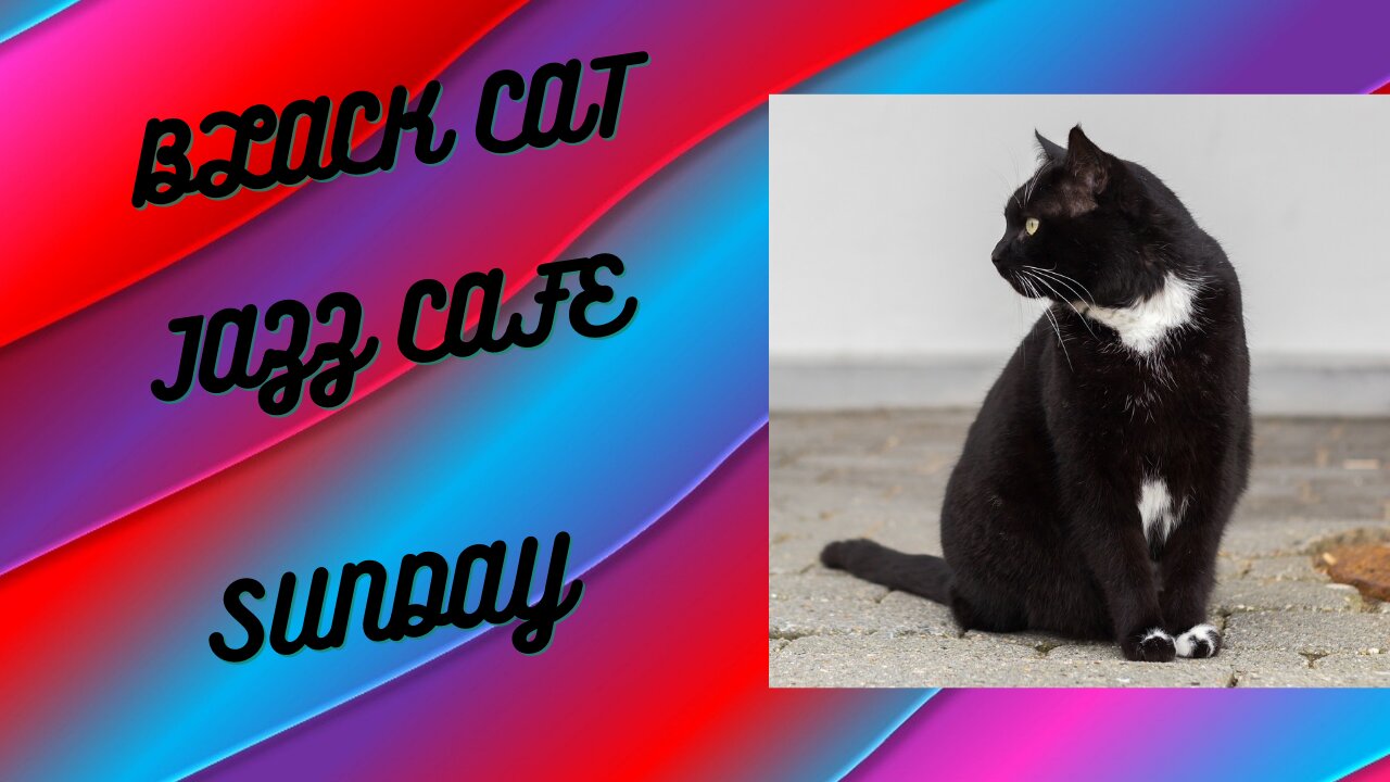 Relax with jazz at BLACK CAT JAZZ CAFE SUNDAY