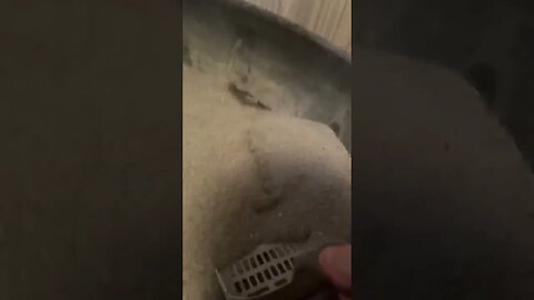 Scoop the poop
