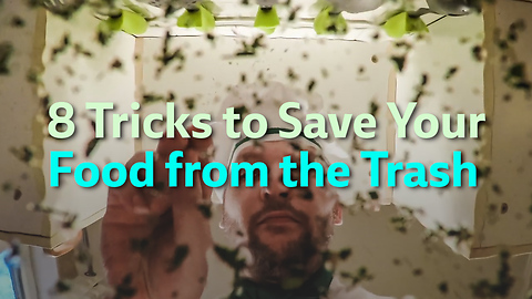 8 Tricks to Save Your Food from the Trash