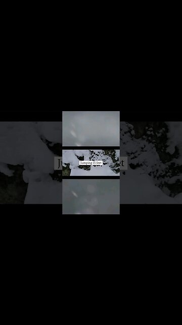 #outnow #newrelease #newvideoalert #bitchute #ytshortsvideo #epic