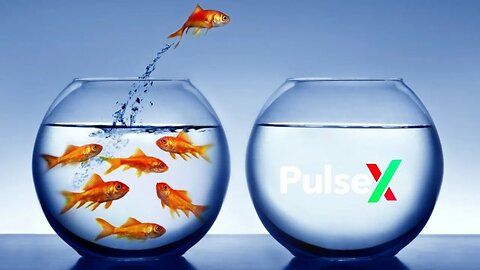 Richard Heart Announces PulseX Fix To Correct LP Fees! New Buy Opportunities!