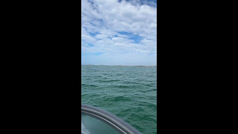 Livestream Replay - Boat Ride from Cape Romano to Marco Island with Dolphins!