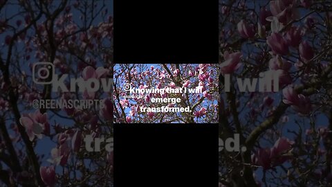 Magnolia inspired poetry #instagramreel #100dayproject2023 #palettestories #magnolia #spokenpoetry