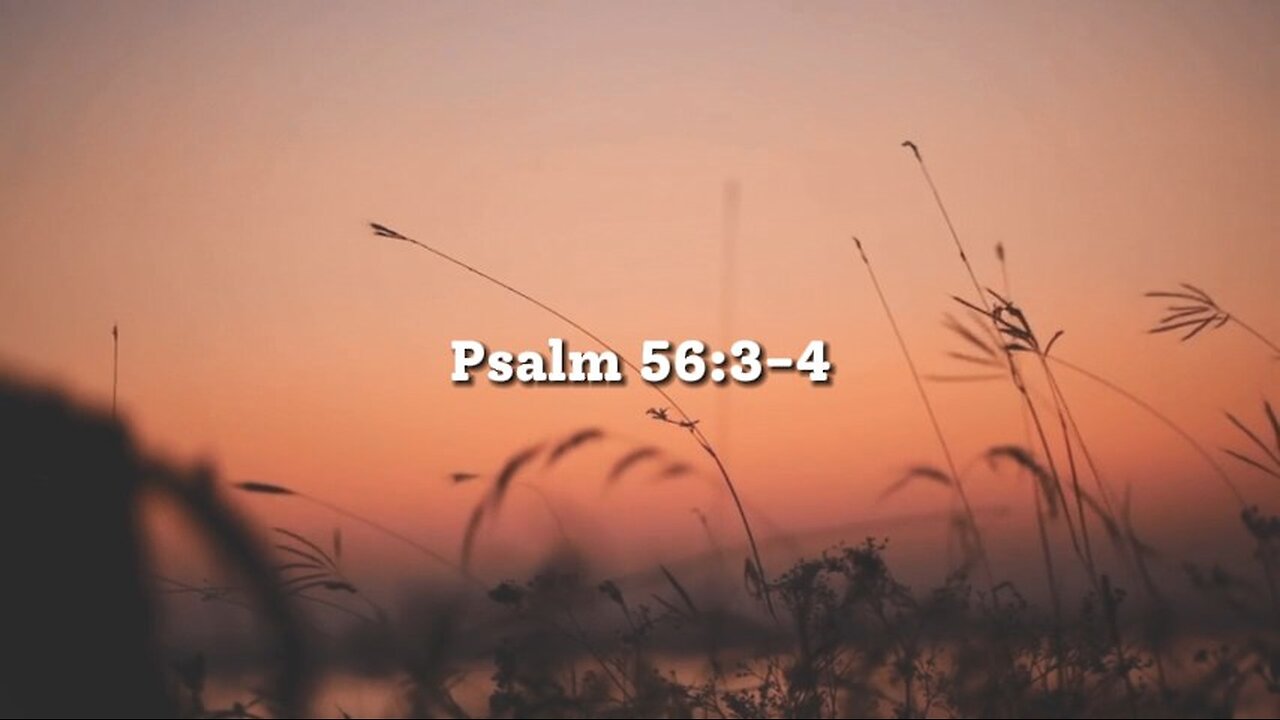 Binding And Loosing Principle From Matthew 16-19 And Mt. 12-29