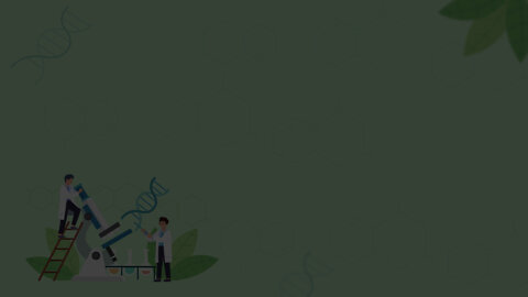 مراجعة الاحساس في الانسان_٢ث