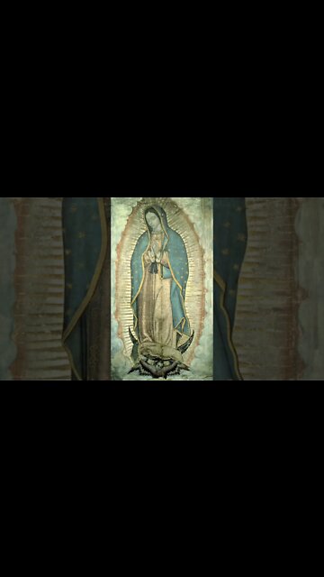Image of Our Lady of Guadalupe #homily #homilyhighlight #NationalShrineofTheDivineMercy #DivineMercy