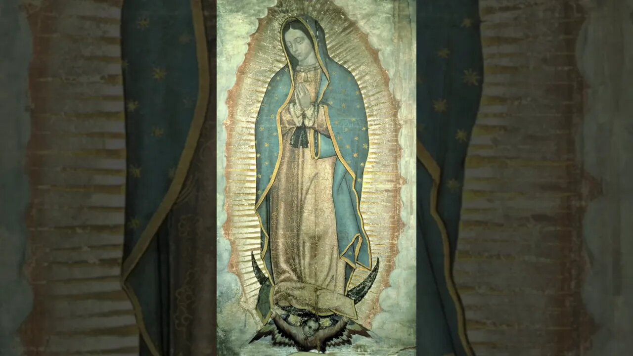 Image of Our Lady of Guadalupe #homily #homilyhighlight #NationalShrineofTheDivineMercy #DivineMercy