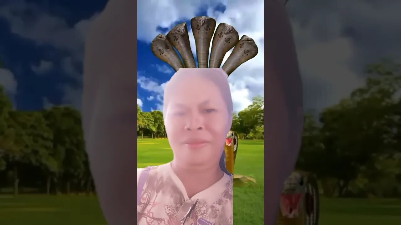 im the one snake white