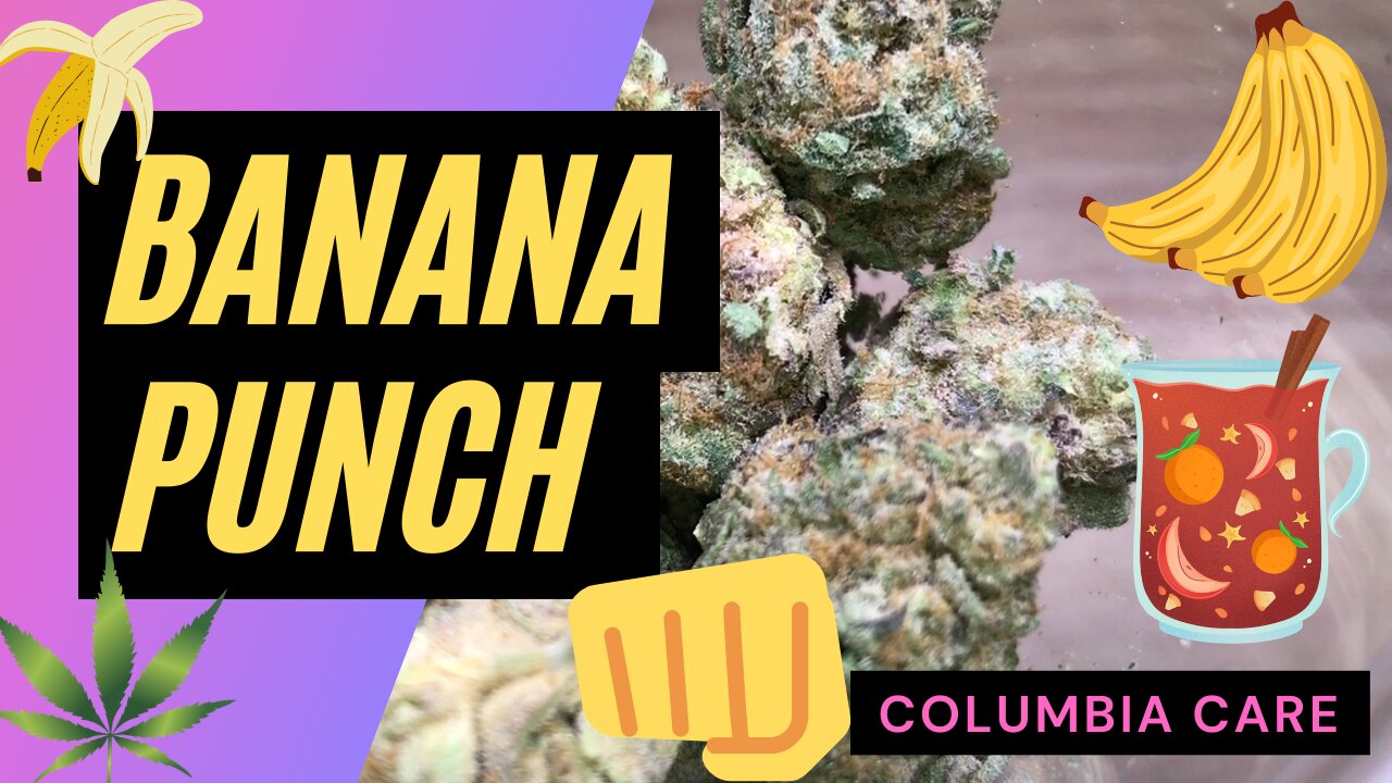 Columbia Care Banana Punch Flower Review