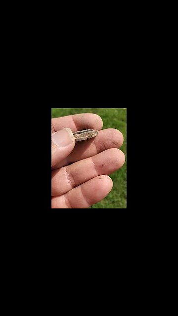 Catwoman button #treasure #relic #coins #fishing #buttons #silverage #sharkteeth #metaldetecting