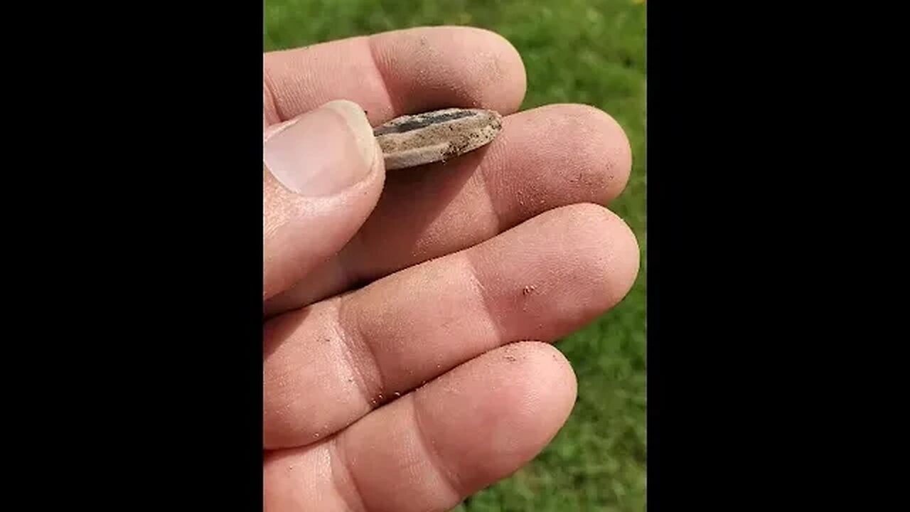 Catwoman button #treasure #relic #coins #fishing #buttons #silverage #sharkteeth #metaldetecting