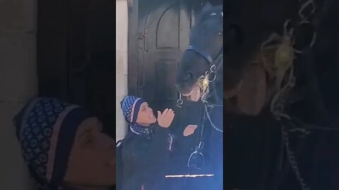 Karen gets bitten #horseguardsparade