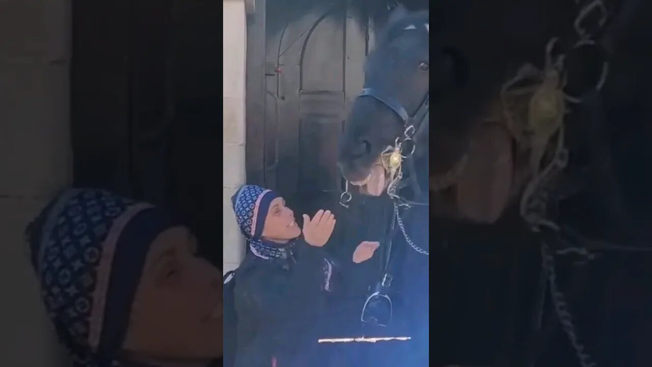 Karen gets bitten #horseguardsparade