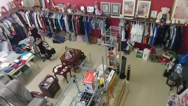 Las Vegas animal rescue group's new thrift shop burglarized - FB