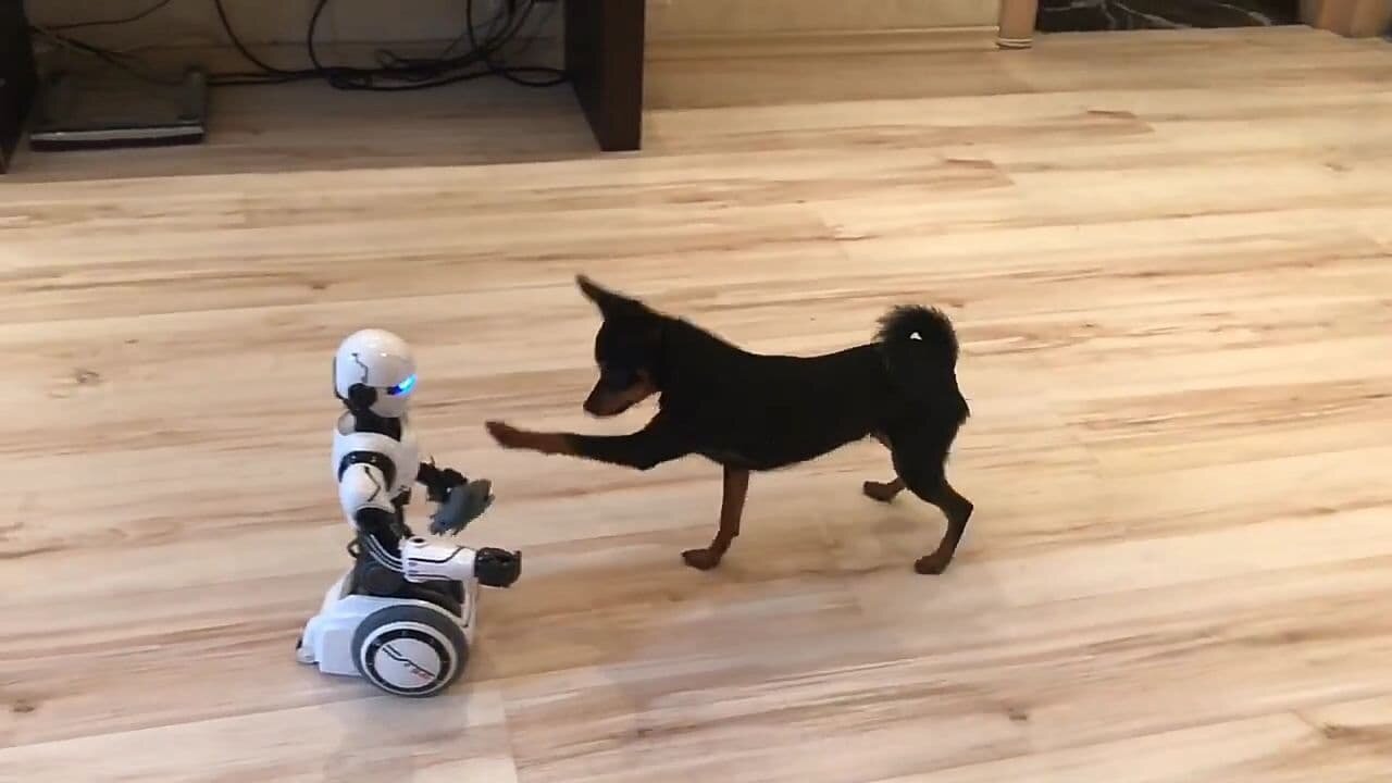 Tom and Robot