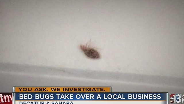 Employees report bed bugs at call center