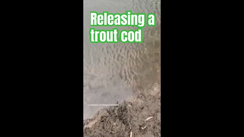 https://youtu.be/ICG8RkCE_2Q?si=9wgZi373lPW8Jfps