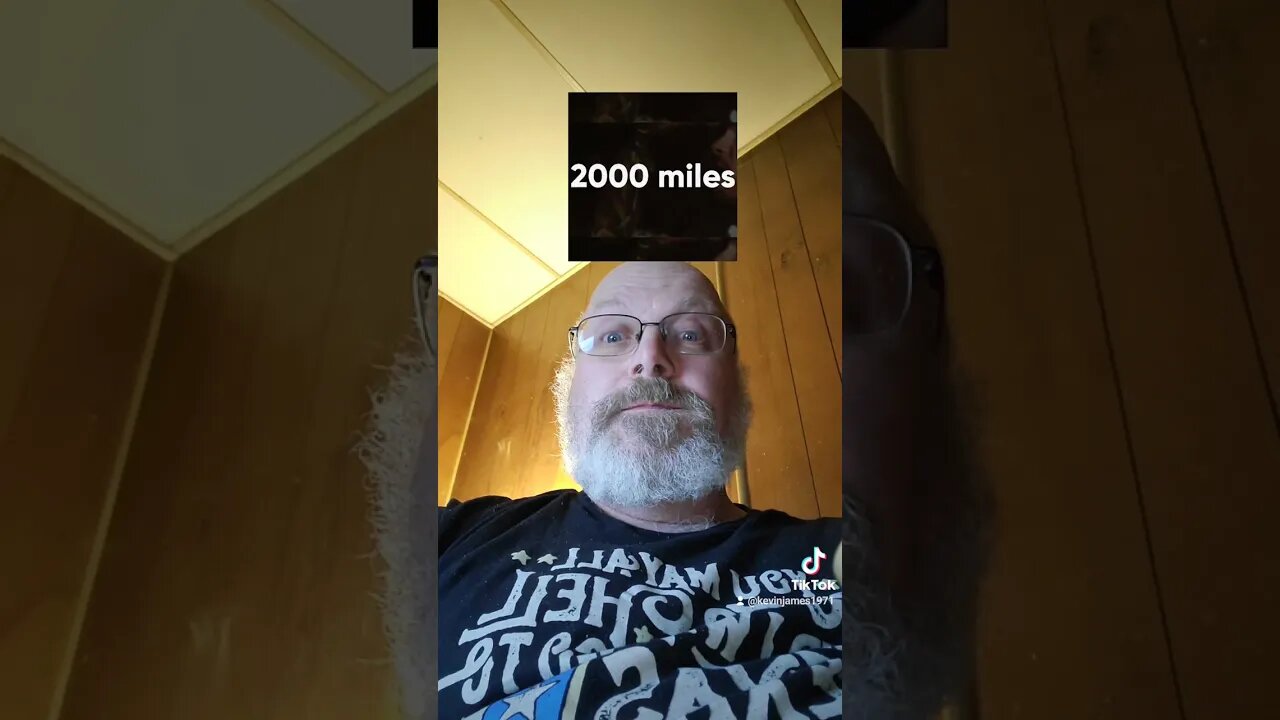 i would walk 500 miles