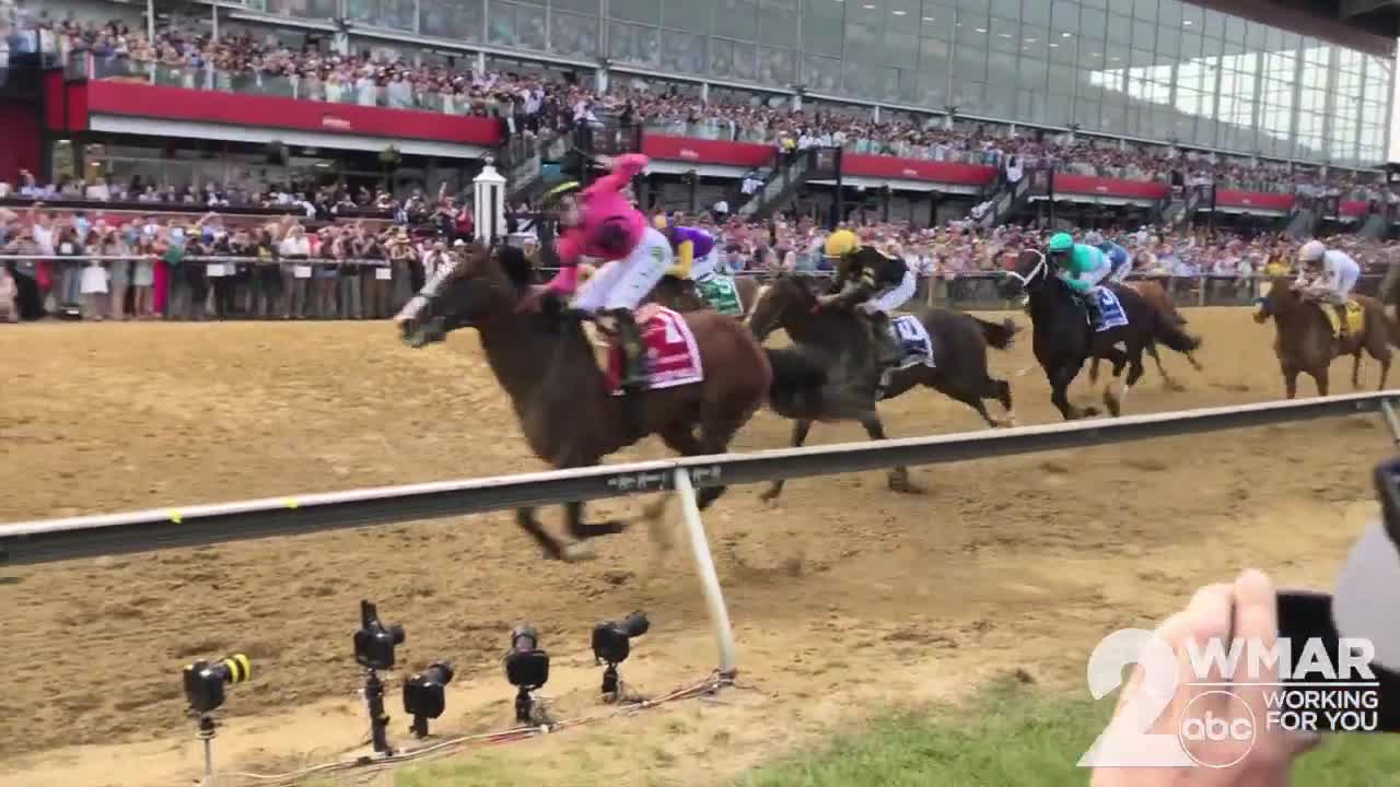 War of Will wins Preakness